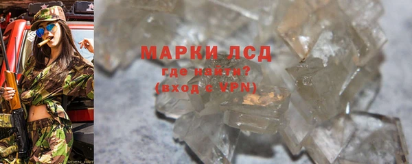 ПСИЛОЦИБИНОВЫЕ ГРИБЫ Михайлов