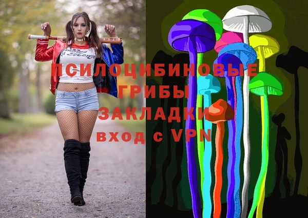 spice Новозыбков