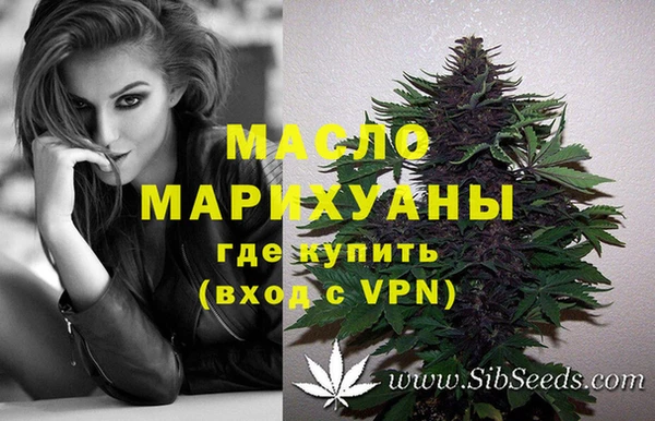 spice Новодвинск